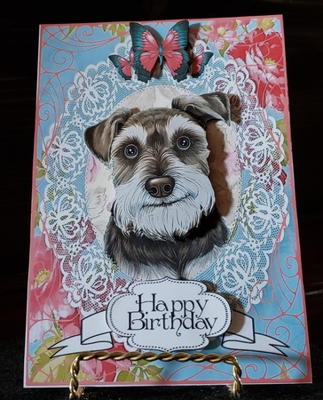 Lacy Terrier by Angela Taylor
