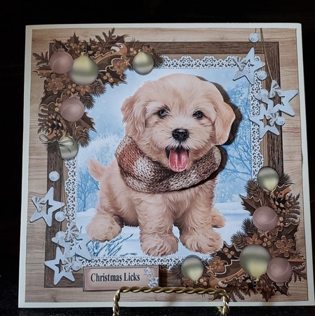 Gorgeous Brown Dog In Wooden Frame 8x8 by Angela Taylor