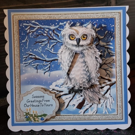 Beautiful Owl In The Snow by Angela Taylor