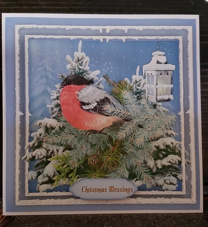 Lovely Christmas Bird  by Angela Taylor