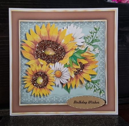 Beautiful Sunflowers and Daisys  by Angela Taylor