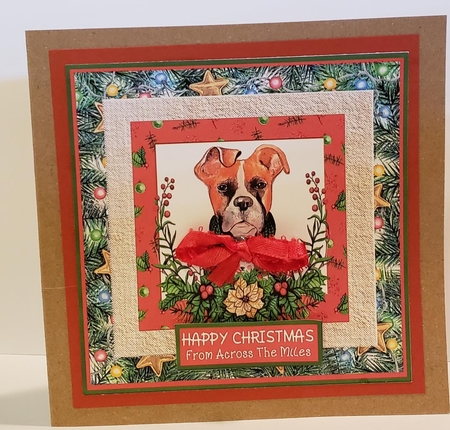 Christmas Boxer by Angela Taylor