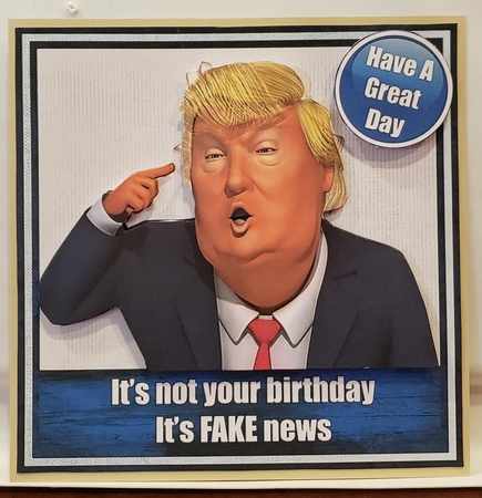 Fake News by Angela Taylor