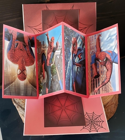 Spiderman Twist and Pop by Angela Taylor