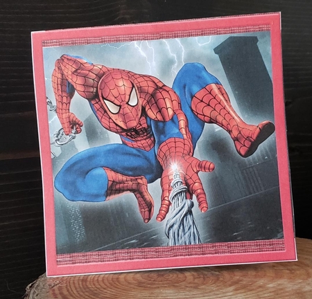 Spiderman Twist and Pop by Angela Taylor