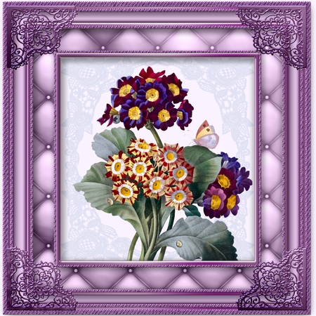 Multicolor frames by Angela Taylor