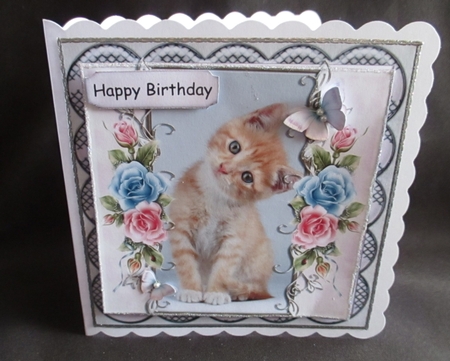 Sweet Kitty by Angela Walker