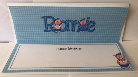 Birthday Large Dl Ronnie Matching Large Dl Insert by Angela White