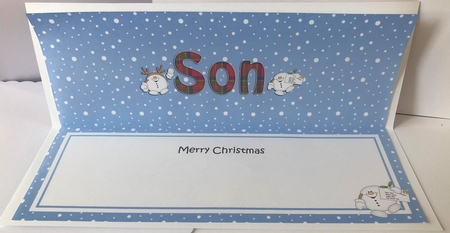 Large DL Merry Christmas SON insert with Snowball Sam by Angela White