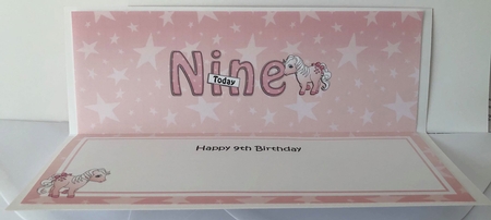Large DL Happy Birthday NINE TODAY insert by Angela White