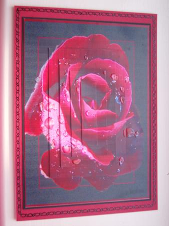 Rose of Love~ by Angela White