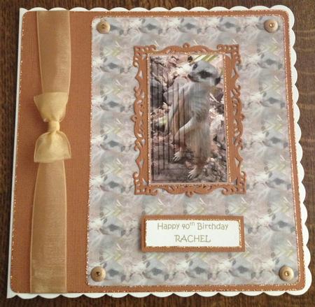Meerkat Pyramid with Background by Angela White