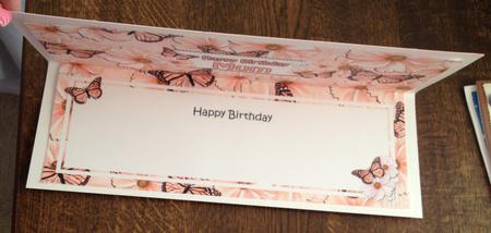 Birthday Mum Floral Butterflies Large Dl Matching Insert by Angela White