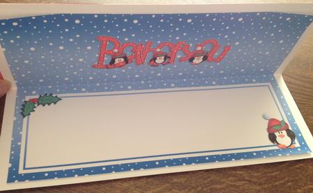 Xmas Both of You Matching Large Dl Insert by Angela White