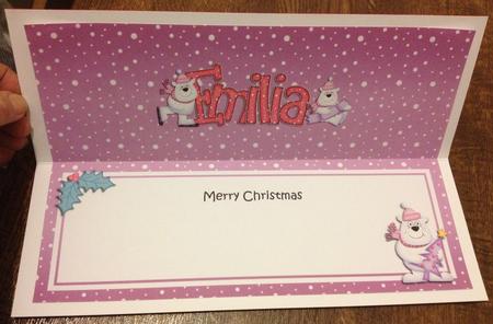 Xmas Emilia Polar Bears Signpost Large Dl Insert by Angela White