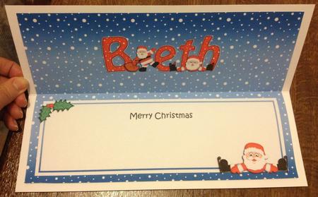 Xmas Beth Santa Signpost Large Dl Insert by Angela White