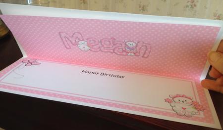 Large Dl Birthday Megan Teddies Insert by Angela White