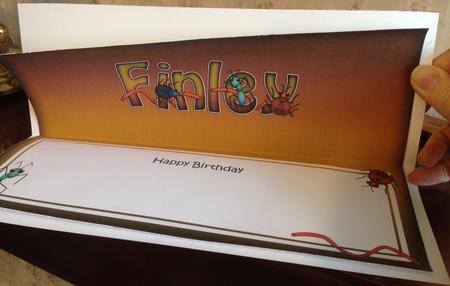 Large Dl Birthday Finley Bugs Matching Insert by Angela White