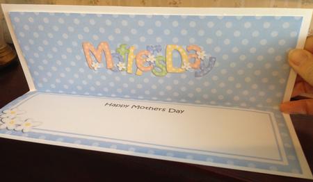 Mothers Day Large Dl Matching Insert by Angela White