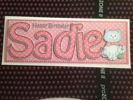 Large Dl Birthday Sadie Cat Card & 3D Decoupage by Angela White