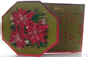 Poinsettia Flowers by Angela Wake