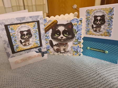 Pretty blue roses, lace and cute kitty 8x8 by Anita chambers