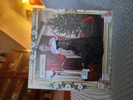Presents for You Christmas Topper 1 by Anita chambers