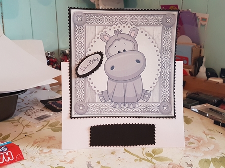 Cute Grey Hippo 8x8 by Anita chambers