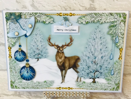 833-Christmas19-A5l by Anita Henery