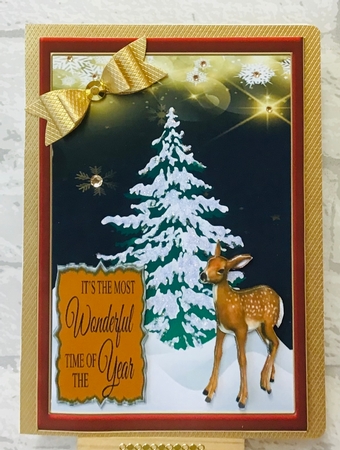 Christmas animals by Anita Henery