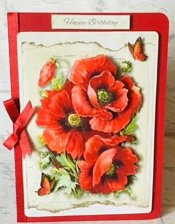 Lovely Red Poppies  by Anita Henery