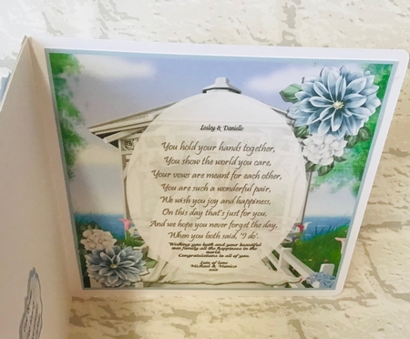 Two Brides by Anita Henery