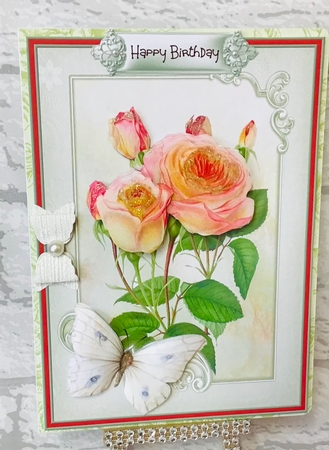 Orange rose and butterfly 5x7 by Anita Henery