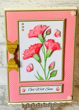 Lovely Carnations N Butterflies - Get Well Soon by Anita Henery