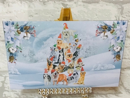 Money Wallets or Gift Card Holders by Anita Henery