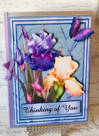 beautyful irises by Anita Henery
