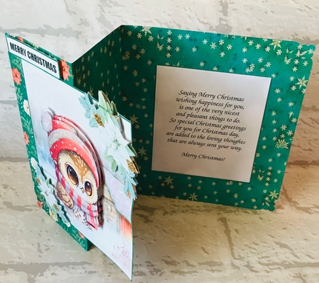 Christmas Hoot fold back one  by Anita Henery