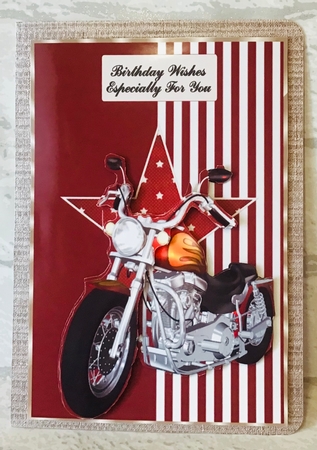 Born to Ride 3 by Anita Henery