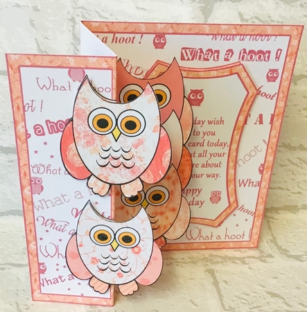 Fold Back Pop-up Pink Owls by Anita Henery