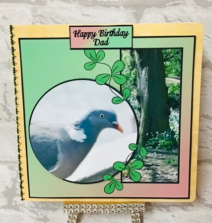 Pigeon Birthday by Anita Henery