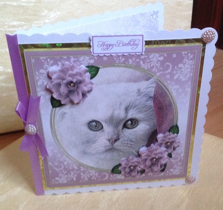 Pretty Kitty 8x8 Card Front Topper by Anita Henery