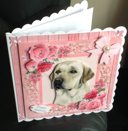 Gorgeous Labrador In Pink Roses 8x8 by Anita Henery