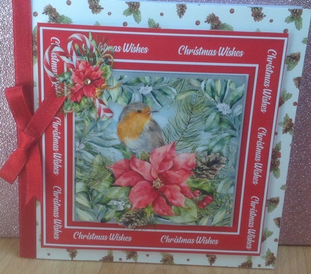 Beautiful Christmas Robin by Anita Henery