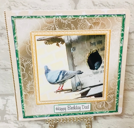 HOBBIES AND LEISURE MULTI SENTIMENT COLLECTION 10 PIGEONS / DOVES by Anita Henery