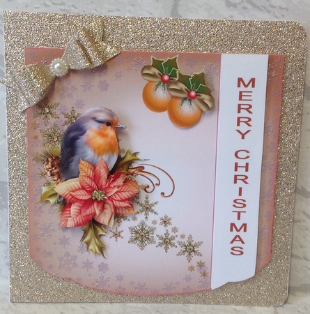 Christmas bird by Anita Henery