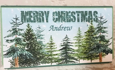 Simply Trees & Snow Christmas Gift/Voucher/Money Wallet/Pocket/Envelope by Anita Henery
