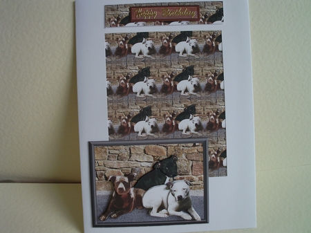 Staffordshire Bull Terrier Trio 3D & Background by Ann Blackman