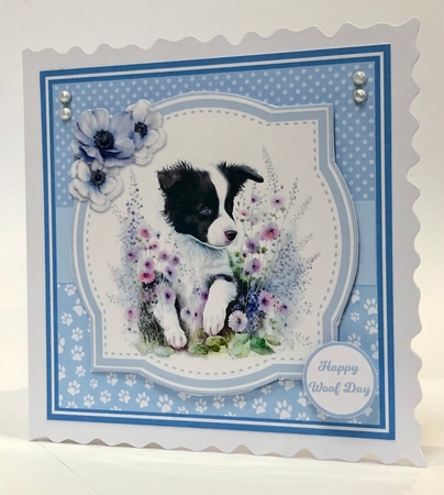 BORDER COLLIE PUPS by Ann Ramsell