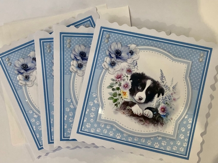 BORDER COLLIE PUPS by Ann Ramsell