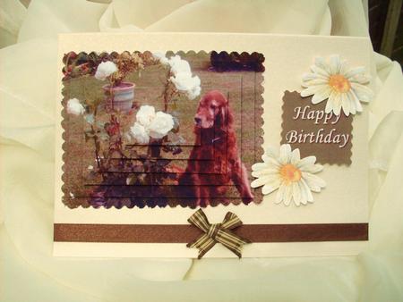 Irish Setter by Ann Ramsell